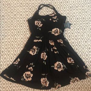 Pixielane 🧚🏼‍♂️